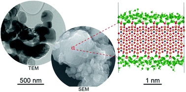 Graphical abstract: Structure and dynamics of water on the forsterite surface