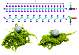 Graphical abstract: Deformation mechanisms of polytetrafluoroethylene at the nano- and microscales