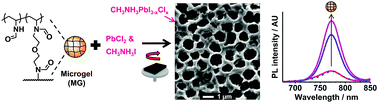 Graphical abstract: Using microgels to control the morphology and optoelectronic properties of hybrid organic–inorganic perovskite films