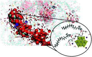 Graphical abstract: Elucidating the morphological aspects and proton dynamics in a hybrid perfluorosulfonic acid membrane for medium-temperature fuel cell applications