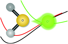 Graphical abstract: Binding of the atomic cations hydrogen through argon to water and hydrogen sulfide