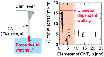 Graphical abstract: Experimental determination of the diameter-dependent wettability of carbon nanotubes as studied using atomic force microscopy