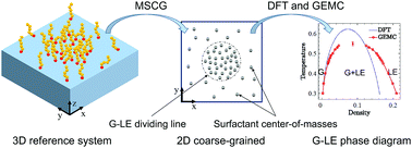 Graphical abstract: Gas–liquid phase equilibrium of a model Langmuir monolayer captured by a multiscale approach