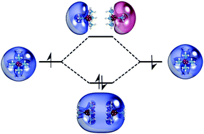 Graphical abstract: Molecules mimicking atoms: monomers and dimers of alkali metal solvated electron precursors