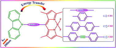 Graphical abstract: Photoinduced energy transfer in carbazole–BODIPY dyads