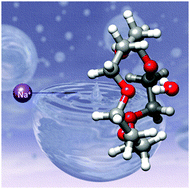 Graphical abstract: Water induces the same crown shapes as Li+ or Na+ in 15-crown-5 ether: a broadband rotational study