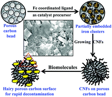 Graphical abstract: ‘Nano on micro’ hierarchical porous all carbon structures: an insight into interfacial interactions with bacteria