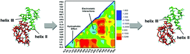 Graphical abstract: Computational studies of protein–protein dissociation by statistical potential and coarse-grained simulations: a case study on interactions between colicin E9 endonuclease and immunity proteins