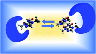 Graphical abstract: Prediction of self-assembly of adenosine analogues in solution: a computational approach validated by isothermal titration calorimetry