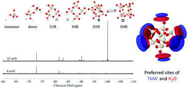 Graphical abstract: Stability and behaviour in aqueous solutions of the anionic cubic silsesquioxane substituted with tetramethylammonium