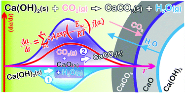 Graphical abstract: Thermally induced carbonation of Ca(OH)2 in a CO2 atmosphere: kinetic simulation of overlapping mass-loss and mass-gain processes in a solid–gas system