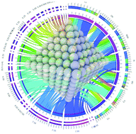 Graphical abstract: A genomic characterisation of monometallic nanoparticles