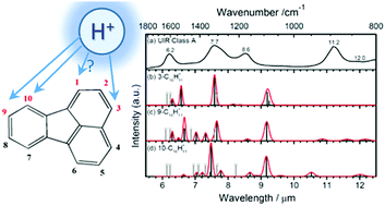 Graphical abstract: Formation and infrared identification of protonated fluoranthene isomers 3-, 9-, and 10-C16H11+ in solid para-H2