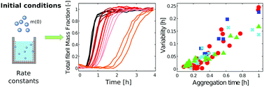 Graphical abstract: Sensitivity analysis of the variability of amyloid aggregation profiles