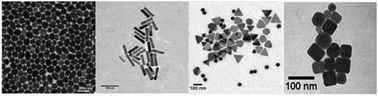 Graphical abstract: Impact of nanogold morphology on interactions with human serum