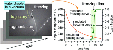 Graphical abstract: Freezing of micrometer-sized liquid droplets of pure water evaporatively cooled in a vacuum