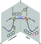 Graphical abstract: A theoretical study of the photodynamics of salicylidene-2-anthrylamine in acetonitrile solution