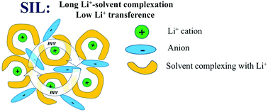 Graphical abstract: How efficient is Li+ ion transport in solvate ionic liquids under anion-blocking conditions in a battery?
