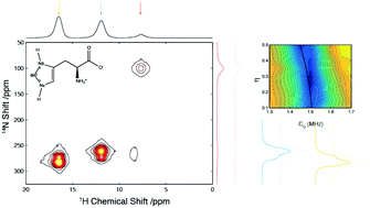 Graphical abstract: Quantitative analysis of 14N quadrupolar coupling using 1H detected 14N solid-state NMR