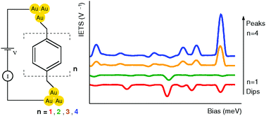 Graphical abstract: Crossover in the inelastic electron tunneling spectra of conjugated molecules with direct Au–C links