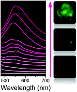 Graphical abstract: Remarkable pressure-induced emission enhancement based on intermolecular charge transfer in halogen bond-driven dual-component co-crystals