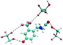 Graphical abstract: Solvent organization around the noncanonical part of tyrosine modulates its fluorescence properties