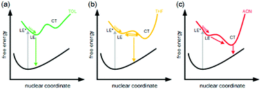 Graphical abstract: Solvent modulated excited state processes of push–pull molecule with hybridized local excitation and intramolecular charge transfer character