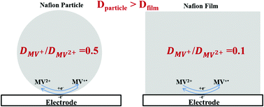 Graphical abstract: Electrochemical characterisation and comparison of transport in Nafion films and particles