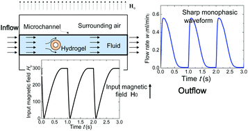 Graphical abstract: Modeling of a fast-response magnetic-sensitive hydrogel for dynamic control of microfluidic flow