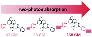 Graphical abstract: Two-photon absorption properties of BODIPY-like compounds based on BF2–naphthyridine complexes