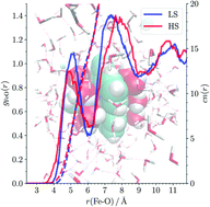 Graphical abstract: Spin-state dependence of the structural and vibrational properties of solvated iron(ii) polypyridyl complexes from AIMD simulations: II. aqueous [Fe(tpy)2]Cl2