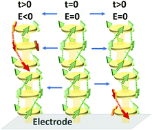 Graphical abstract: Kinetic Monte Carlo simulations of organic ferroelectrics