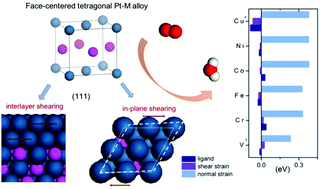 Graphical abstract: Unusual strain effect of a Pt-based L10 face-centered tetragonal core in core/shell nanoparticles for the oxygen reduction reaction