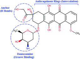 Graphical abstract: Molecular mechanism and binding free energy of doxorubicin intercalation in DNA