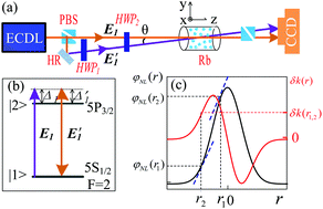 Graphical abstract: Manipulation of a ring-shaped beam via spatial self- and cross-phase modulation at lower intensity