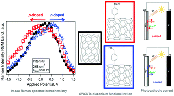 Graphical abstract: A tool box to ascertain the nature of doping and photoresponse in single-walled carbon nanotubes