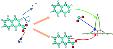 Graphical abstract: Dissociative photodetachment vs. photodissociation of aromatic carboxylates: the benzoate and naphthoate anions