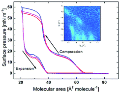 Graphical abstract: Structural organization and phase behaviour of meta-substituted dioctadecylaminobenzoquinones at the air/water interface