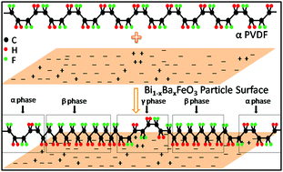 Graphical abstract: Role of suppressed oxygen vacancies in the BiFeO3 nanofiller to improve the polar phase and multifunctional performance of poly(vinylidene fluoride)