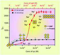 Graphical abstract: Thermodynamics of adsorption of lysozyme on gold nanoparticles from second harmonic light scattering