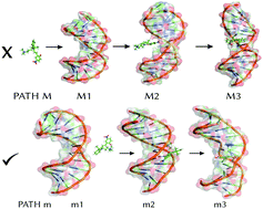 Graphical abstract: DNA-binding mechanism of spiropyran photoswitches: the role of electrostatics