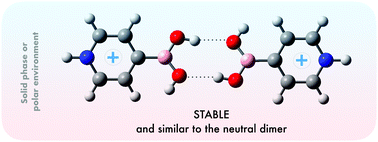 Graphical abstract: Cations brought together by hydrogen bonds: the protonated pyridine–boronic acid dimer explained