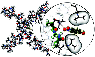 Graphical abstract: Cross-linker effect on solute adsorption in swollen thermoresponsive polymer networks