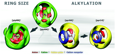 Graphical abstract: Cation influence on heterocyclic ammonium ionic liquids: a molecular dynamics study