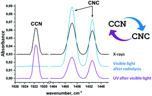 Graphical abstract: Formation and interconversion of CCN and CNC radicals resulting from the radiation-induced decomposition of acetonitrile in solid noble gas matrices