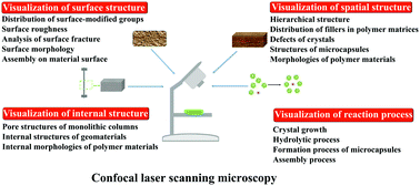 Graphical abstract: Visualization of materials using the confocal laser scanning microscopy technique