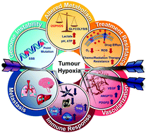 Graphical abstract: Hypoxia-targeted drug delivery