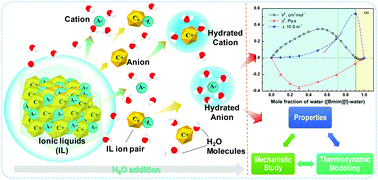 Graphical abstract: The peculiar effect of water on ionic liquids and deep eutectic solvents