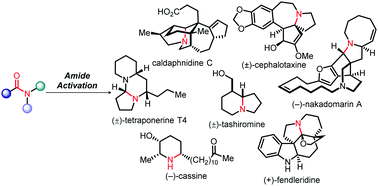 Graphical abstract: Amide activation: an emerging tool for chemoselective synthesis