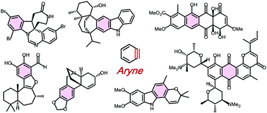 Graphical abstract: Aryne-based strategy in the total synthesis of naturally occurring polycyclic compounds